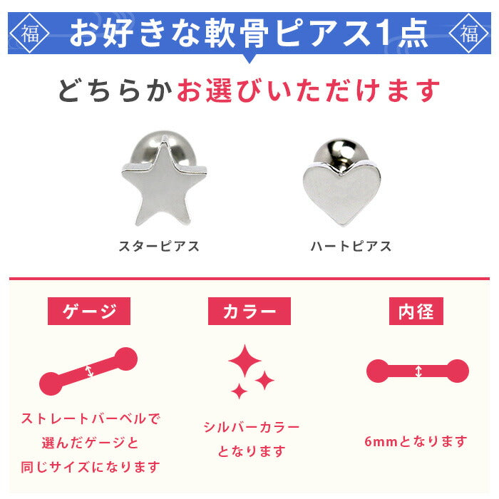 【廃盤】 【送料無料】 福袋 中身が見える ボディピアス 14G 軟骨ピアス 16G サージカルステンレス 金属アレルギー