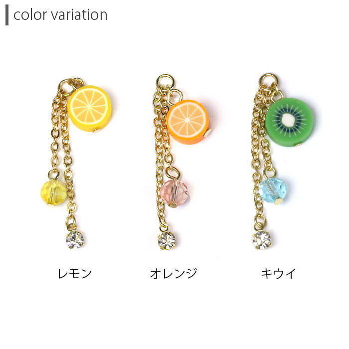 【廃盤】 チャーム 14G 16G 18G カットフルーツ 果物 フルーツ トロピカル カスタマイズ ボディピアス ボディーピアス 軟骨ピアス「BP」「CHA」