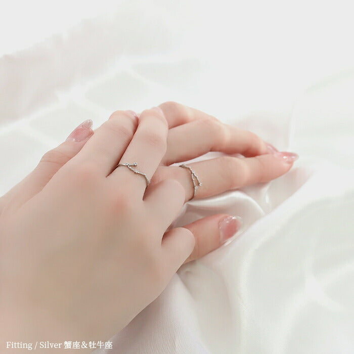 ring-10 リング 指輪 レディース シルバー ゴールド 金属アレルギー シンプル 18k 18金 k18 ニッケルフリー 9号 11号 星座 十二星座 ファッションリング ゴールドリング シルバーリング ピンキーリング キラキラ 18Kコーティング 大人 ハンドメイド かわいい 大人可愛い 重ね付け 凛